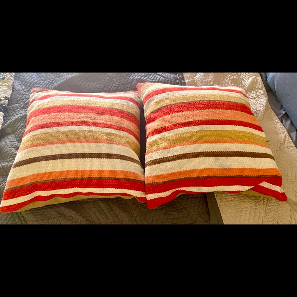 Two Pottery Barn Fall pillow covers w down inserts